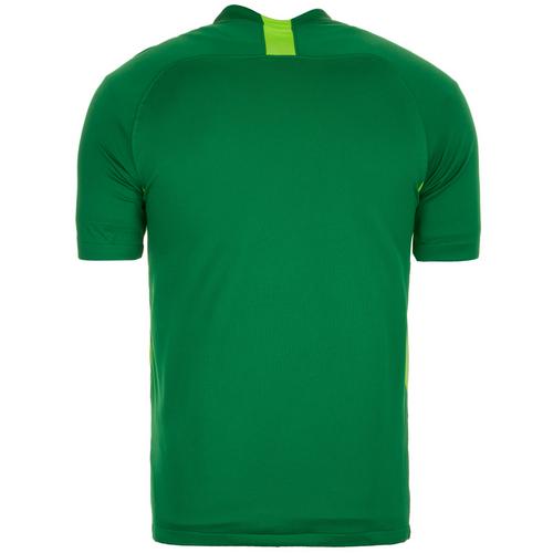 Rückansicht von Nike Dri-FIT Striker V Fußballtrikot Herren grün / hellgrün