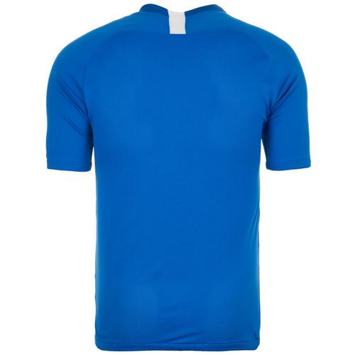 Rückansicht von Nike Dri-FIT Striker V Fußballtrikot Herren blau / weiß