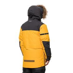 Rückansicht von Jack Wolfskin 1995 SERIES PARKA M Parka Herren burly yellow XT