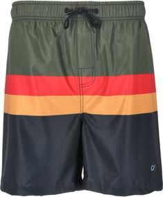 Cruz Indy Boardshorts Kinder Print 8631