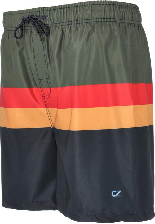 Rückansicht von Cruz Indy Boardshorts Kinder Print 8631