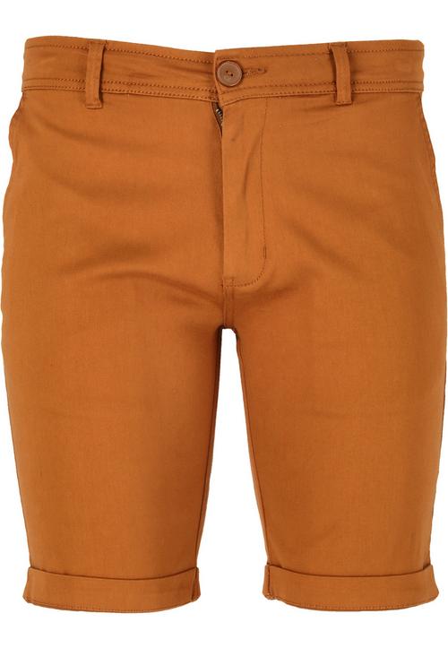 Cruz Jerryne Shorts Herren