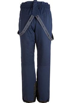 Rückansicht von Whistler Gippslang Skihose Herren 2048 Navy Blazer