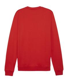 Rückansicht von PUMA teamGOAL Casuals Sweatshirt Funktionssweatshirt Herren rotweiss
