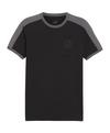 PUMA BVB Dortmund Ftbl T-Shirt T-Shirt - schwarzgrau