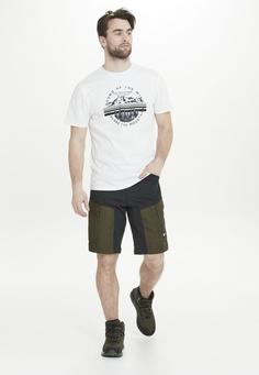 Rückansicht von Whistler ROMMY Shorts Herren 3052 Forest Night