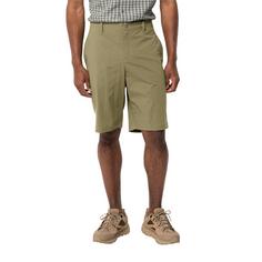 Rückansicht von Jack Wolfskin DESERT SHORTS M Shorts Herren bay leaf