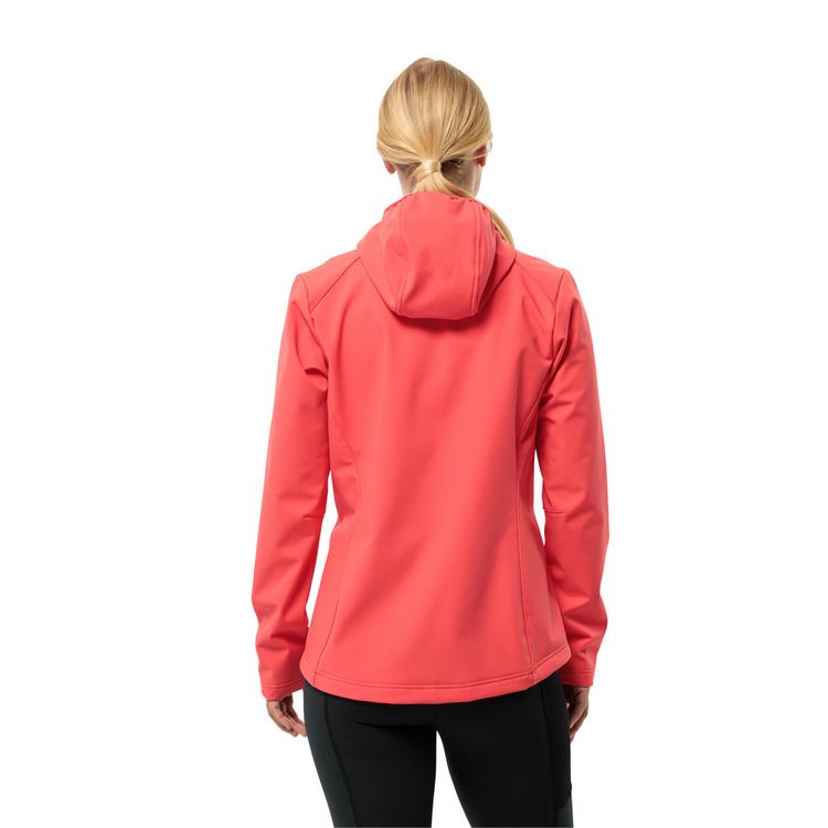 Jack Wolfskin Jack Wolfskin BORNBERG Softshelljacke Damen - sago palm - 3 | SportScheck