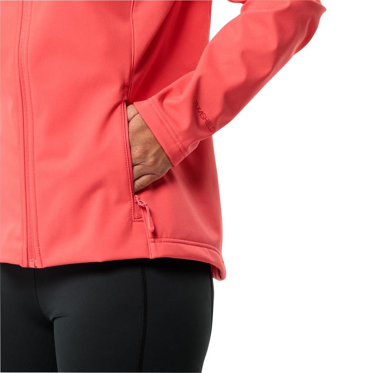 Jack Wolfskin Jack Wolfskin BORNBERG Softshelljacke Damen - sago palm - 7 | SportScheck