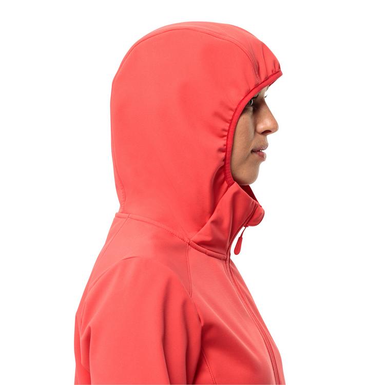 Jack Wolfskin Jack Wolfskin BORNBERG Softshelljacke Damen - sago palm - 9 | SportScheck