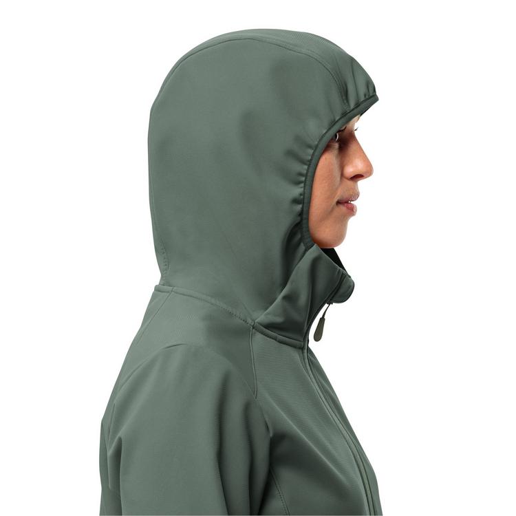 Jack Wolfskin Jack Wolfskin BORNBERG Softshelljacke Damen - sago palm - 8 | SportScheck