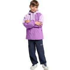 Rückansicht von Jack Wolfskin ACTAMIC 2L JKT K Funktionsjacke Kinder sea rose