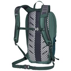 Rückansicht von Jack Wolfskin PRELIGHT SHAPE 15 Wanderrucksack jade green