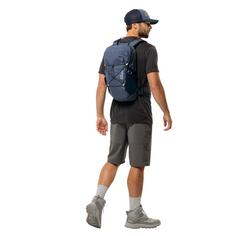 Rückansicht von Jack Wolfskin CYROX SHAPE 15 Wanderrucksack evening sky