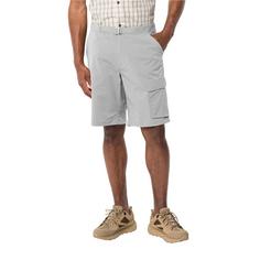 Rückansicht von Jack Wolfskin WANDERTHIRST SHORTS M Funktionsshorts Herren cool grey