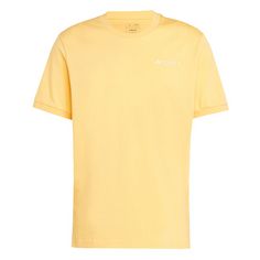 adidas Terrex Xploric Logo T-Shirt T-Shirt Herren Semi Spark