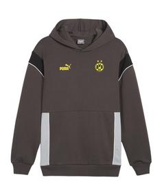PUMA BVB Dortmund Ftbl Archive Hoody Sweatshirt graugrau