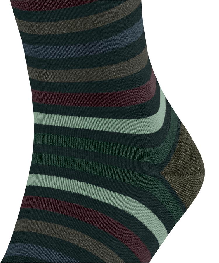 Falke Falke Tinted Stripe SO Socken Herren - WALD (7992) - 1 | SportScheck