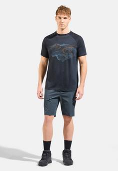 Rückansicht von Odlo Funktionsshorts Herren dark slate(10612)