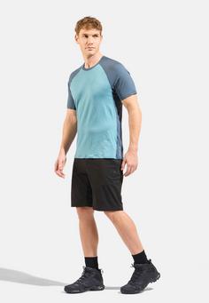 Rückansicht von Odlo Funktionsshorts Herren black(15000)