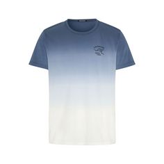 Chiemsee T-Shirt T-Shirt Herren 4840 Dark Blue/Light Blue