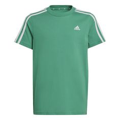 adidas Essentials 3-Streifen Cotton T-Shirt T-Shirt Kinder Semi Court Green / White