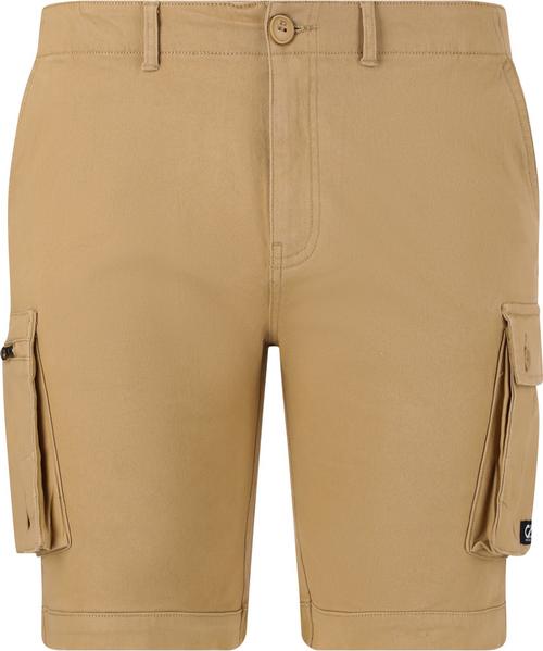 Cruz Monsoon Shorts Herren