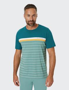 Rückansicht von JOY sportswear FALK T-Shirt Herren lake green stripes