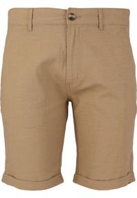 Cruz Reagan Shorts Herren - 1138 Kelp