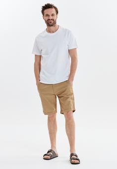 Rückansicht von Cruz Reagan Shorts Herren 1138 Kelp