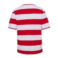 Rückansicht von hummel Dänemark Striped T-Shirt EM 2024 Fanshirt rotweiss