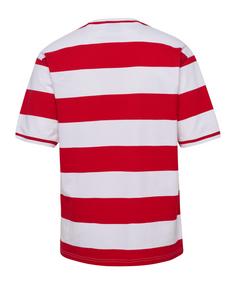 Rückansicht von hummel Dänemark Striped T-Shirt EM 2024 Fanshirt rotweiss
