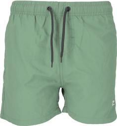 Cruz Eyemouth Boardshorts Herren 3138 Green Bay