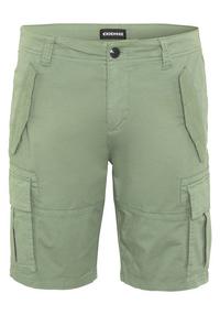 Chiemsee Bermuda-Shorts Shorts Herren - 17-6009 Laurel Wreath