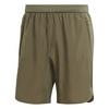 adidas DESIGNED FOR TRAINING Funktionsshorts Herren - olive strata