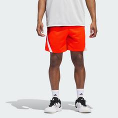 Rückansicht von adidas adidas Select Mesh Shorts Funktionsshorts Herren Solar Red / Cloud White