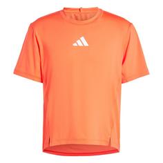 adidas Adapt Workout T-Shirt T-Shirt Herren Bright Red / White