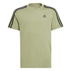 adidas Essentials 3-Streifen Cotton T-Shirt T-Shirt Kinder Tent Green / Black