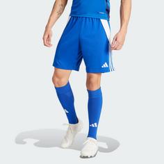 Rückansicht von adidas Tiro 24 Shorts Fußballshorts Herren Royal Blue / White