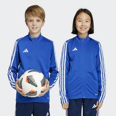 Rückansicht von adidas Tiro 23 League Trainingsjacke Funktionsjacke Kinder Royal Blue