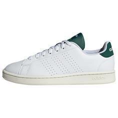 adidas Advantage Schuh Sneaker Cloud White / Cloud White / Collegiate Green