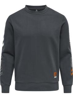 hummel hmlLGC BIRK SWEATSHIRT Sweatshirt ASPHALT