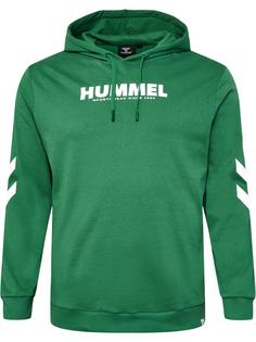 hummel hmlLEGACY LOGO HOODIE PLUS Hoodie Herren FOLIAGE GREEN