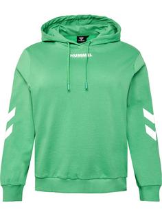 hummel hmlLEGACY WOMAN HOODIE PLUS Hoodie Damen GREEN SPRUCE