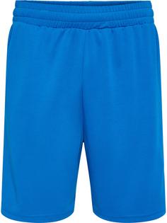 hummel hmlTE FLEX MESH SHORTS Funktionsshorts Herren DAPHNE