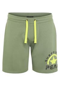 Chiemsee Bermuda-Shorts Shorts Herren - 17-6009 Laurel Wreath