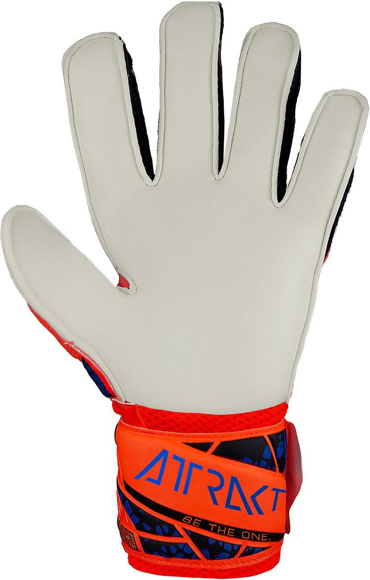 Reusch Reusch Attrakt Solid Junior Torwarthandschuhe - 2210 hyper orng/elec blue - 1 | SportScheck