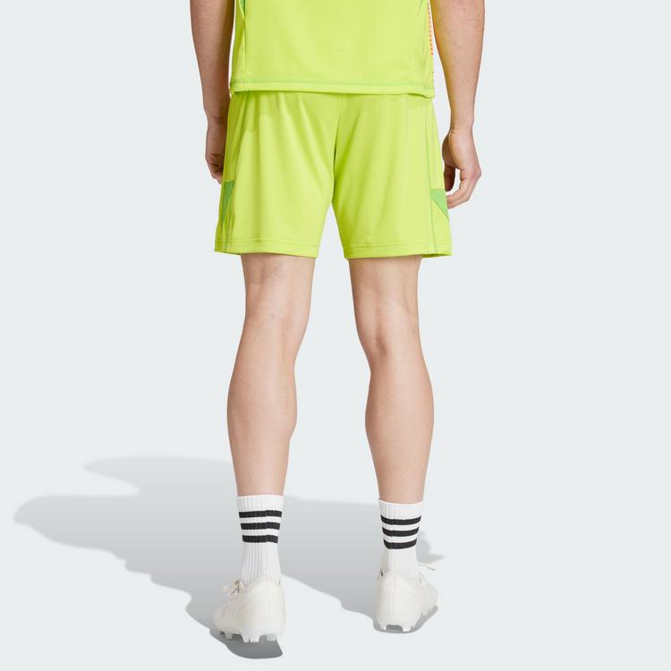 adidas adidas FC Arsenal 24/25 Torwartshorts Fu&szlig;ballshorts Herren - Semi Solar Yellow - 1 | SportScheck