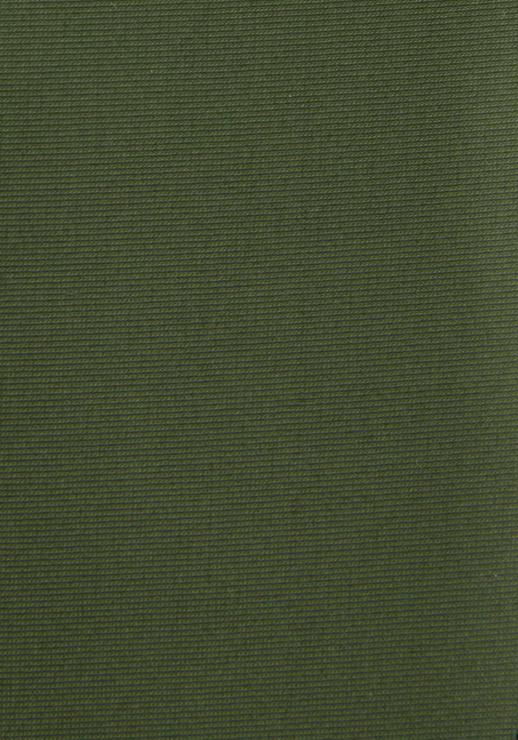 BRUNO BANANI BRUNO BANANI Bikini-Hose Bikini Hose Damen - oliv - 0 | SportScheck