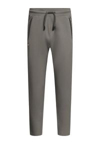 Gold's Gym ERIC Trainingshose Herren - castlerock